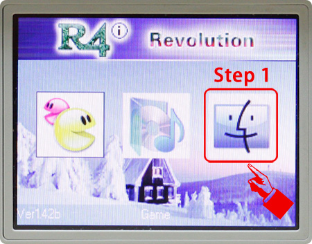 Carte R4 Upgrade Revolution pour console Nintendo DS Envoi rapide et suivi